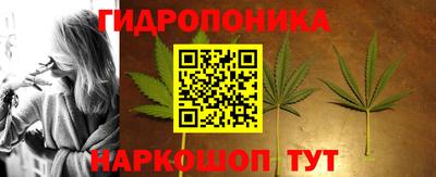 стафф Свободный