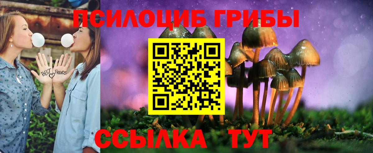 Пугачёв  Галлюциногенные грибы Psilocybine cubensis  Вход с VPN  Галлюциногенные грибы мицелий 