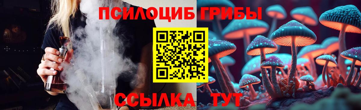 Галлюциногенные грибы Cubensis Пугачёв